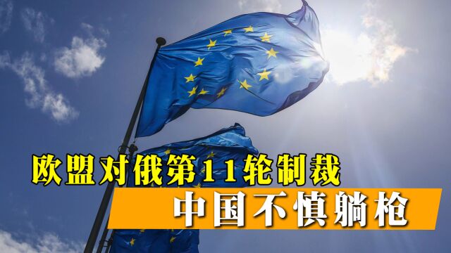 对俄制裁伤及中国,7家中企被列入制裁名单,欧盟准备下狠手了