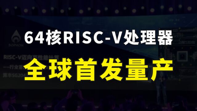 中国发布量产型64核RISCV处理器,全球RISCV市场中国已占据半壁江山