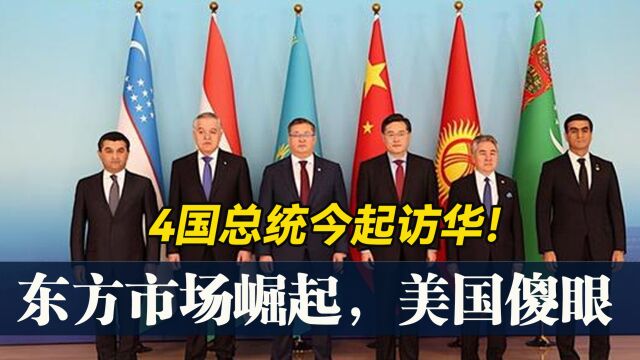 4国总统访华,东方市场崛起!中国能源有保障了,美国无法阻止