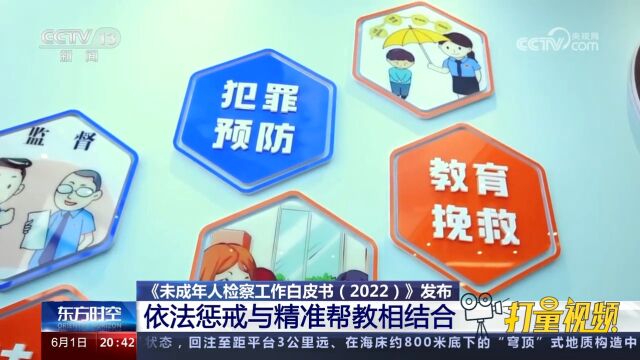 《未成年人检察工作白皮书(2022)》依法惩戒与精准帮教相结合