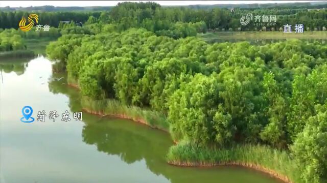 东明黄河国家湿地公园鸟类持续增多,呈现人与鸟类和谐共生的画卷