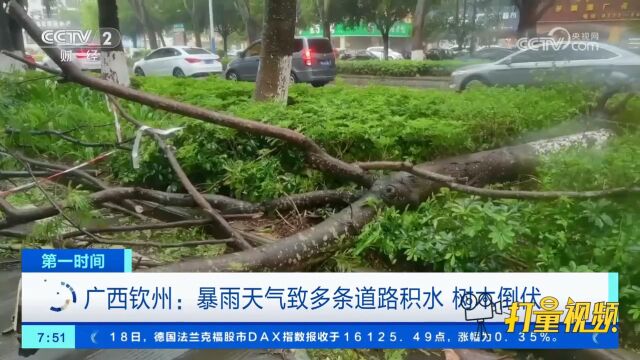 广西钦州:暴雨天气致多条道路积水,树木倒伏