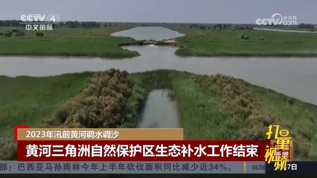 2023年汛前黄河调水调沙,黄河三角洲自然保护区生态补水工作结束