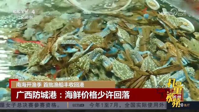 广西防城港:海鲜价格少许回落