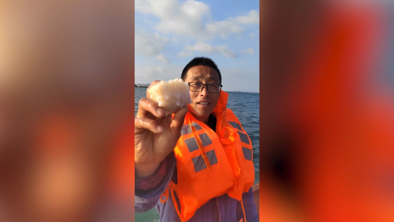 大连市民捕获罕见白海参 专家表示营养成分和普通海参一致