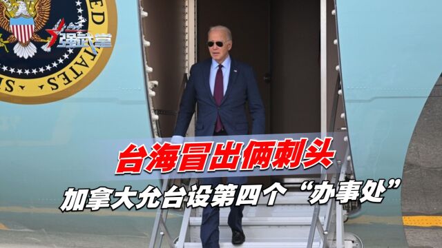 台海相继冒出俩刺头,法国介入后,加拿大允台设第四个“办事处”