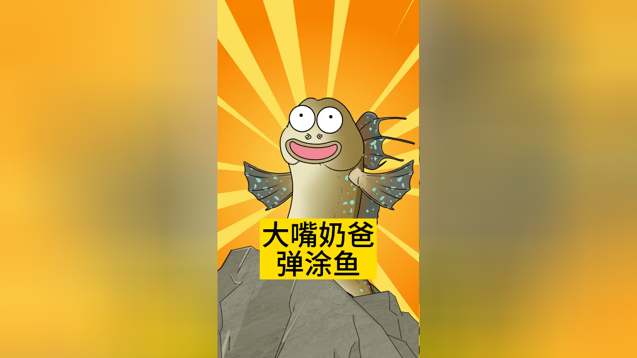 大嘴奶爸弹涂鱼是如何照顾宝宝的