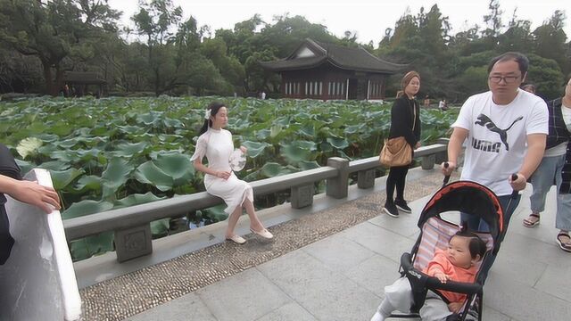 游西湖十景之一的曲院风荷,揭秘舞蹈演员是如何在湖面上跳舞的?