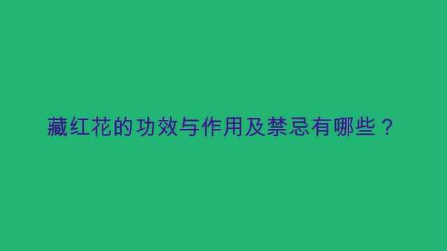 藏红花的功效与作用及禁忌有哪些?