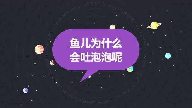 鱼儿为什么会吐泡泡呢