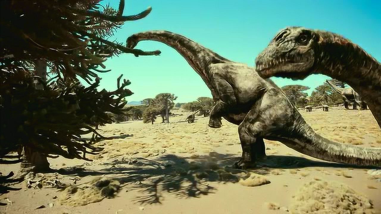 霸王龙唯一不能奈何的恐龙,阿根廷龙,结队扫荡森林,树木好稀疏