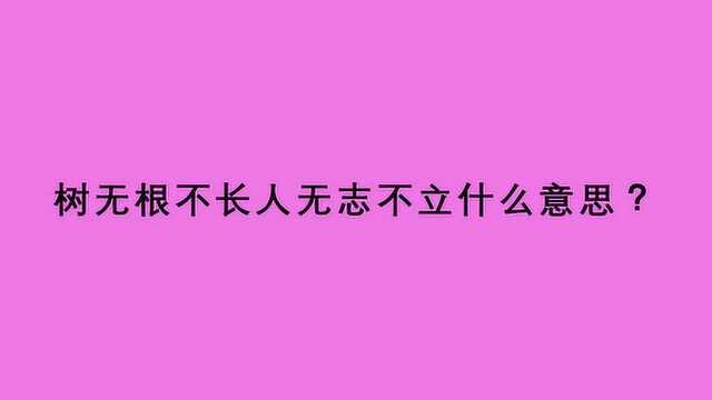 树无根不长人无志不立什么意思?