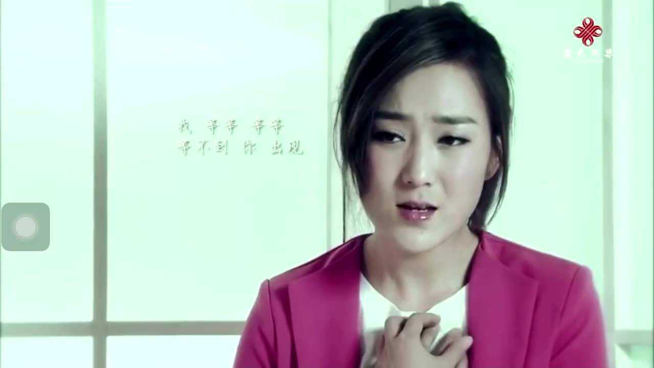 龙梅子赵忠祥演唱泪满天