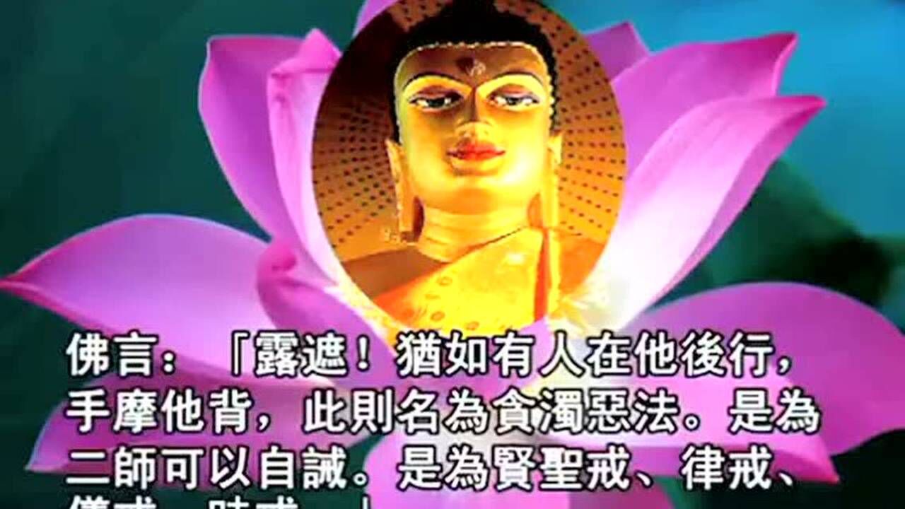 长阿含经聆志居士念诵17