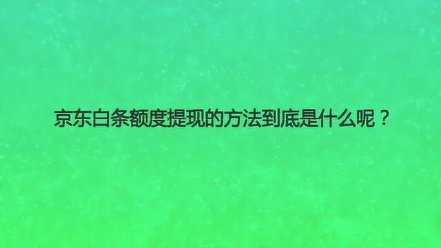 京东白条额度提现的方法到底是什么呢?