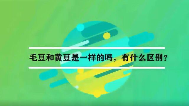 毛豆和黄豆是一样的吗,有什么区别?