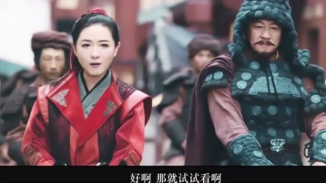 女将军 小毒医;又是恶俗的抢婚梗,不过可以带入晋江文