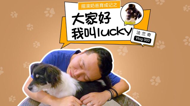 法兰奇摇滚奶爸育成记:大家好我叫 Lucky