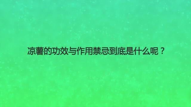 凉薯的功效与作用禁忌到底是什么呢?