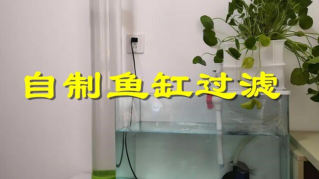 DIY鱼缸过滤盒,周转箱加水管改装的植物过滤,既美观又实用!