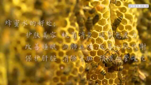 第二期 蜂蜜的营养价值