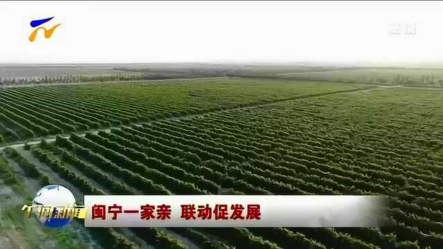 闽宁协作 助推宁夏葡萄酒走向全国