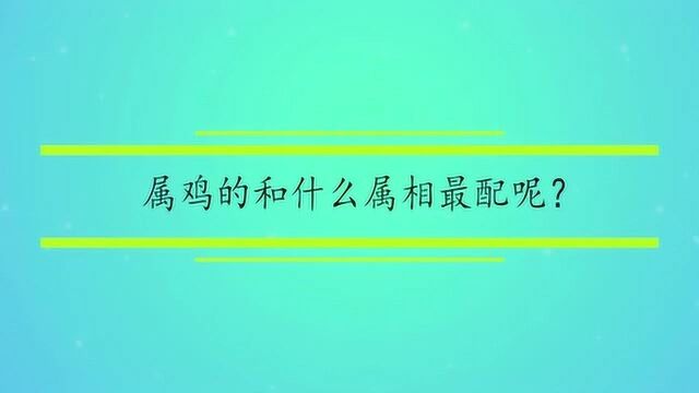 属鸡的和什么属相最配呢?