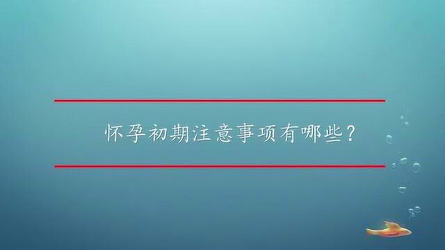 怀孕初期注意事项有哪些?