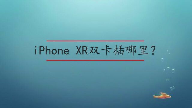 iPhone XR双卡插哪里?