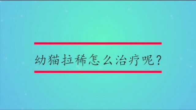 幼猫拉稀怎么治疗呢?