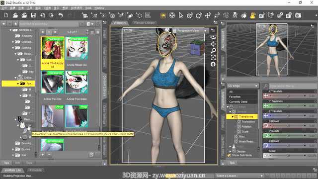 dazstudio4所有版本亚洲东方角色体型合集包