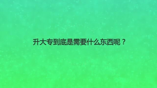 升大专到底是需要什么东西呢?