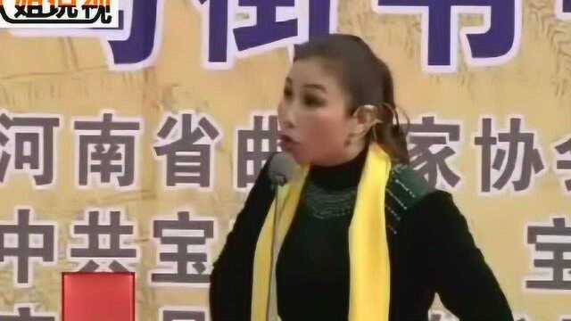 河南坠子:海公案张晓霞演唱