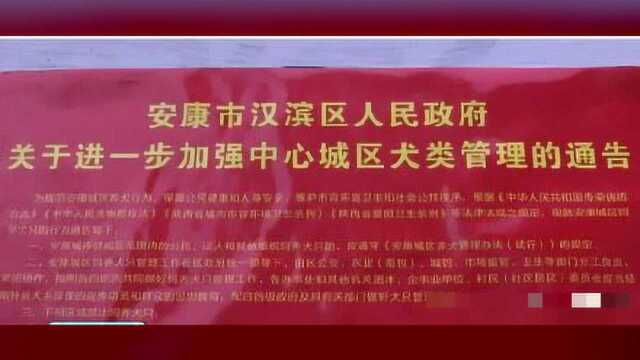 陕西安康回应“养犬通告20处错误”:疑制作时出错,正调查