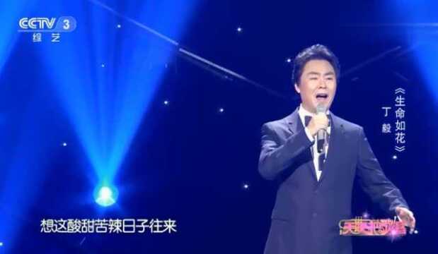 丁毅演唱《生命如花》经典歌曲至今难以忘怀,太好听了