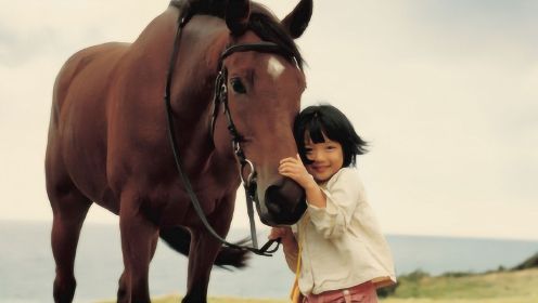 三分钟看韩国催泪影片《方糖》，孩子与动物相依为命，太感人了！