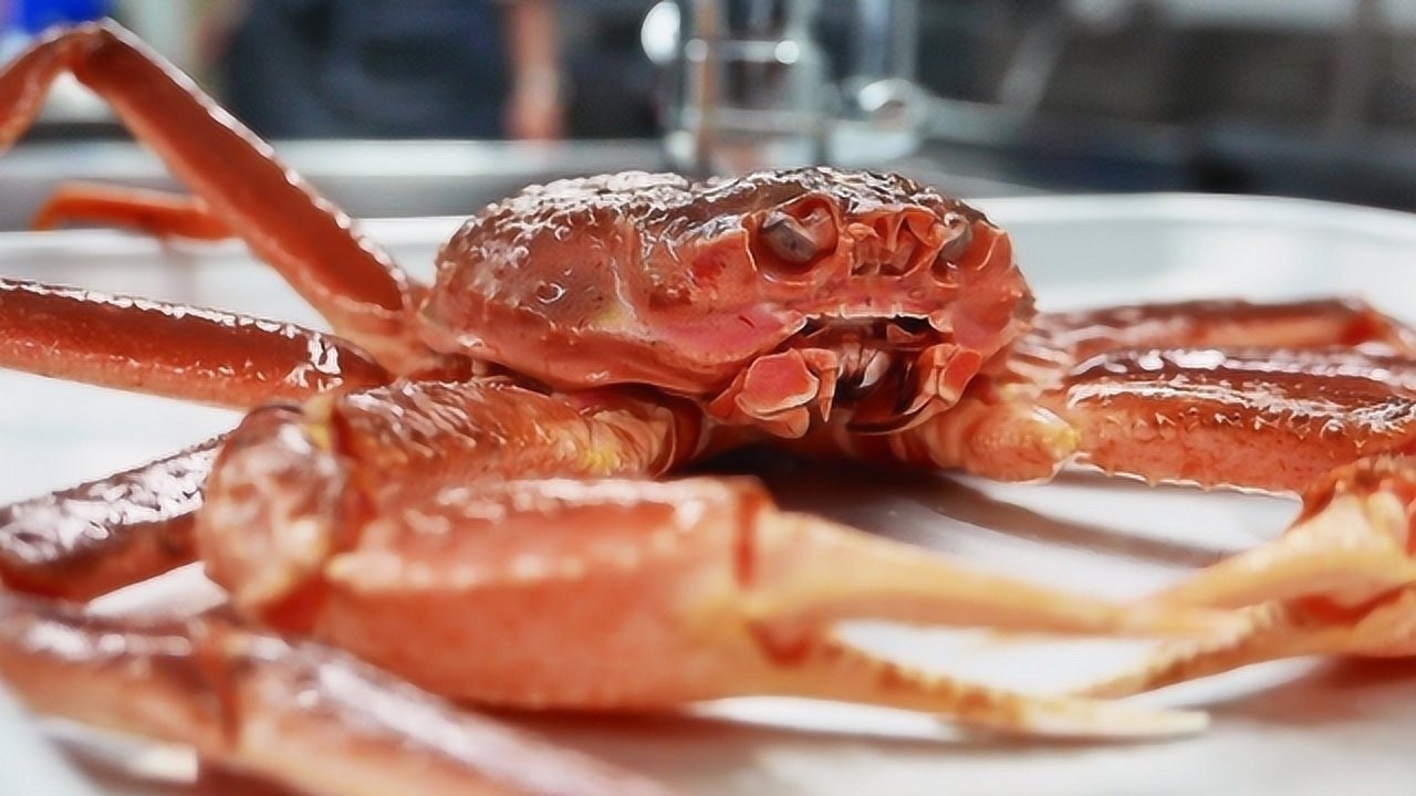 日本松叶蟹,螃蟹中的"大长腿",剥开之后满满的蟹肉太过瘾!