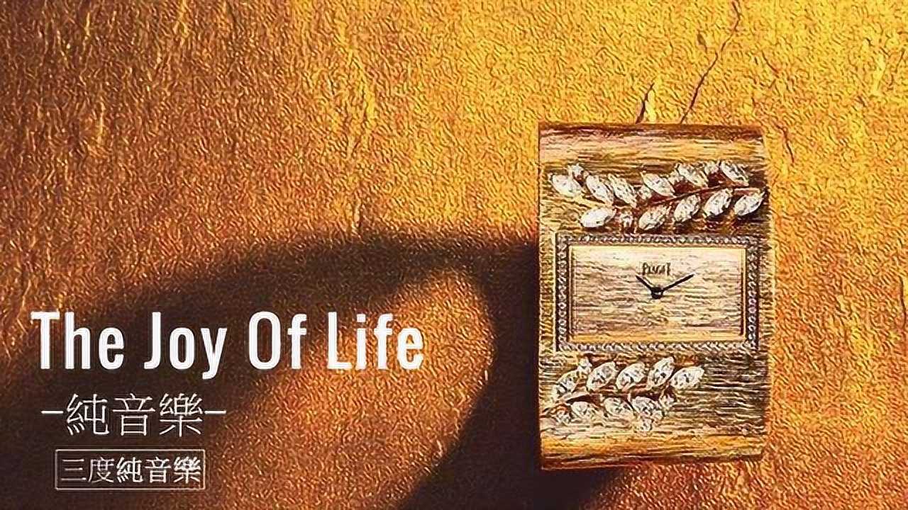 thejoyoflife纯音乐轻音乐安静心灵音乐放松好听