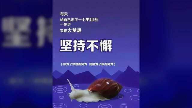 早安心情语录 正能量的励志好句子