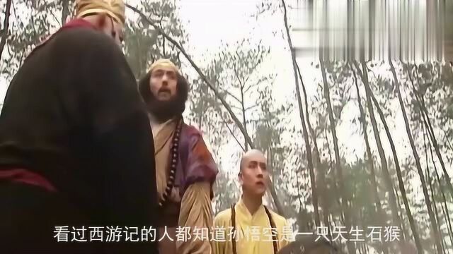 孙悟空背景到底有多强?玉帝和如来都不敢惹?