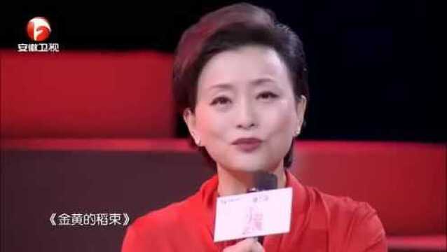 李亚鹏朗诵《金黄的稻束》来致敬伟大的母爱!