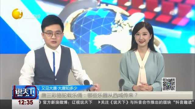 唐三彩骆驼载乐佣:哪些乐器从西域传来?