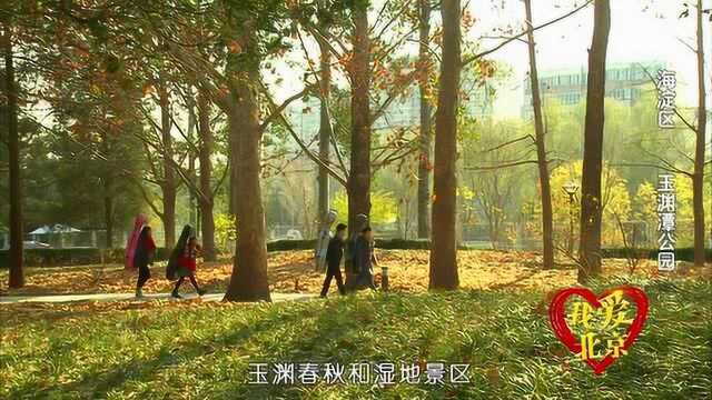 我爱北京:玉渊潭的新风景