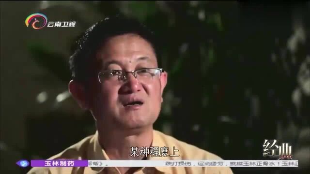 彝药传奇:上世纪五十年代,生病没处治,在山上挖两棵草吃竟好了