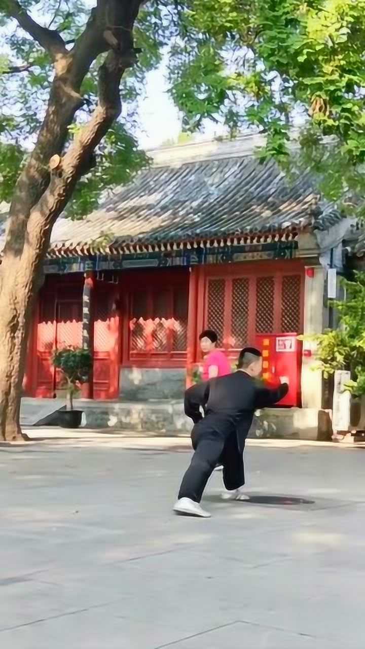 八极拳行劈拳,武术传统文化