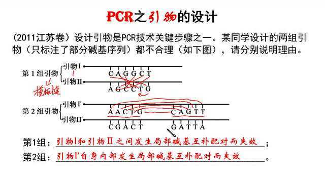 PCR之引物的设计,高中生物微课