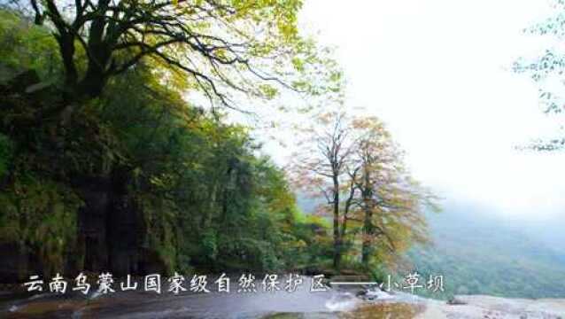 云南乌蒙山国家级自然保护区—小草坝