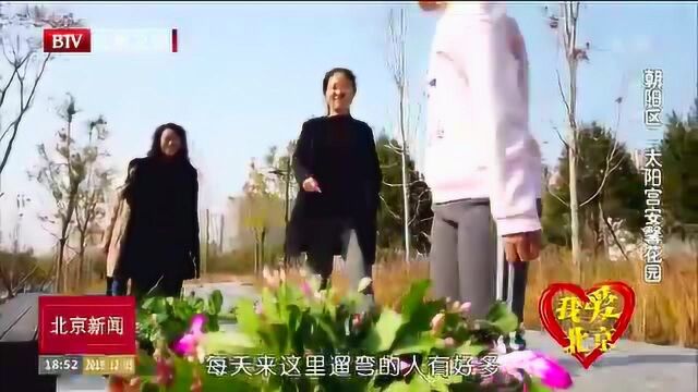 我爱北京系列微视频 朝阳区太阳宫安馨花园