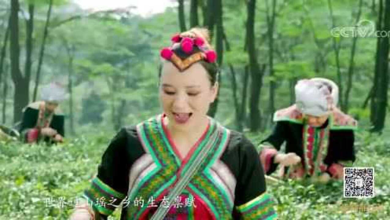 央视广告精准扶贫乳源瑶山茶腾讯视频