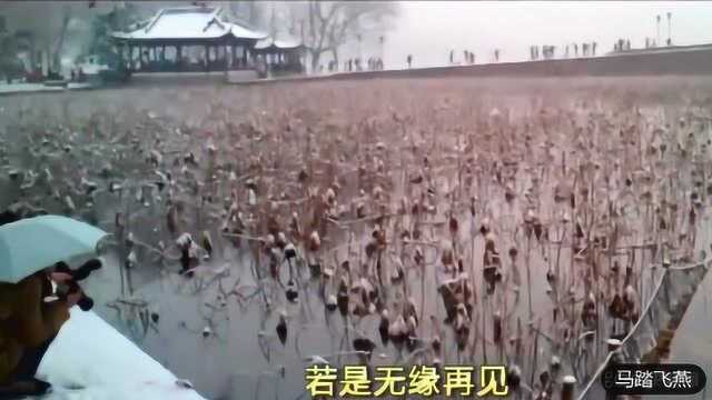 西湖冬季的断桥残雪,童话故事般美轮美奂,银装素裹的美妙西湖哦